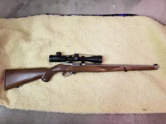 Ruger 10-22.webp