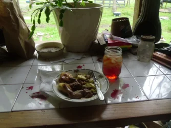 SAM_0066 - Copy (2).webp