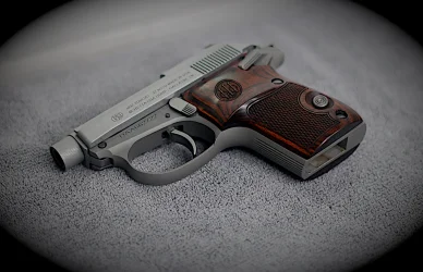 beretta tom cat Left.webp